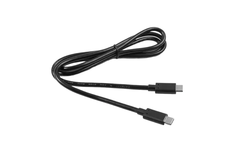 Garmin Garmin Câble USB - Type C à type C