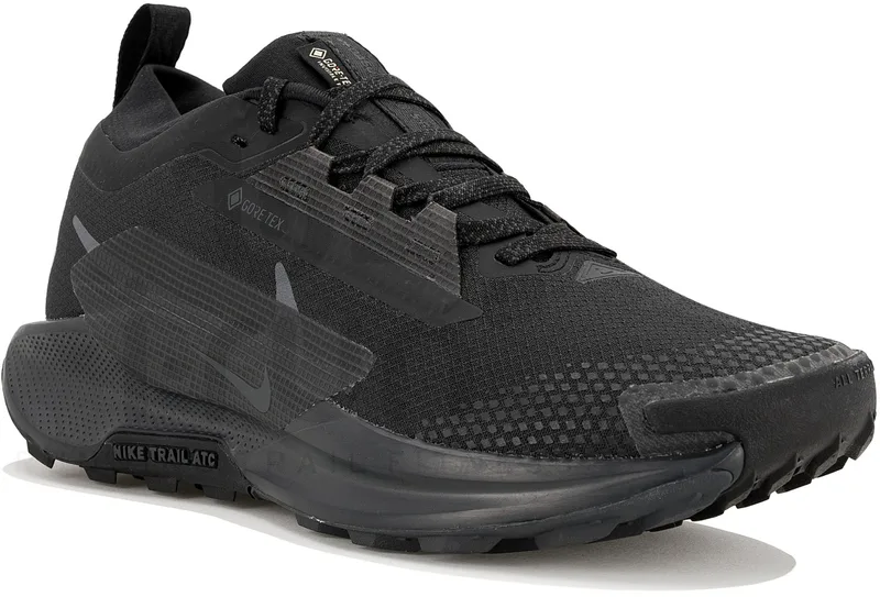 Nike Pegasus Trail 5 Gore-Tex