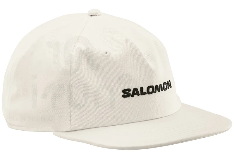 Salomon Salomon Logo Flat