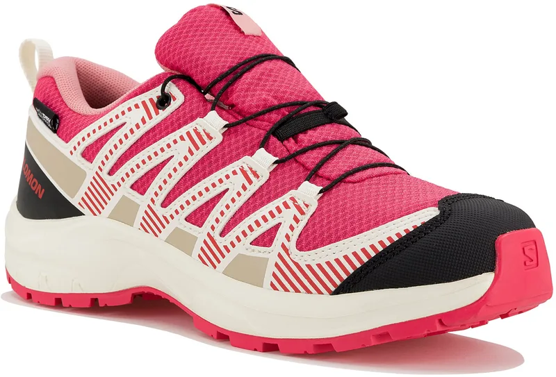 Salomon XA PRO V8 WP